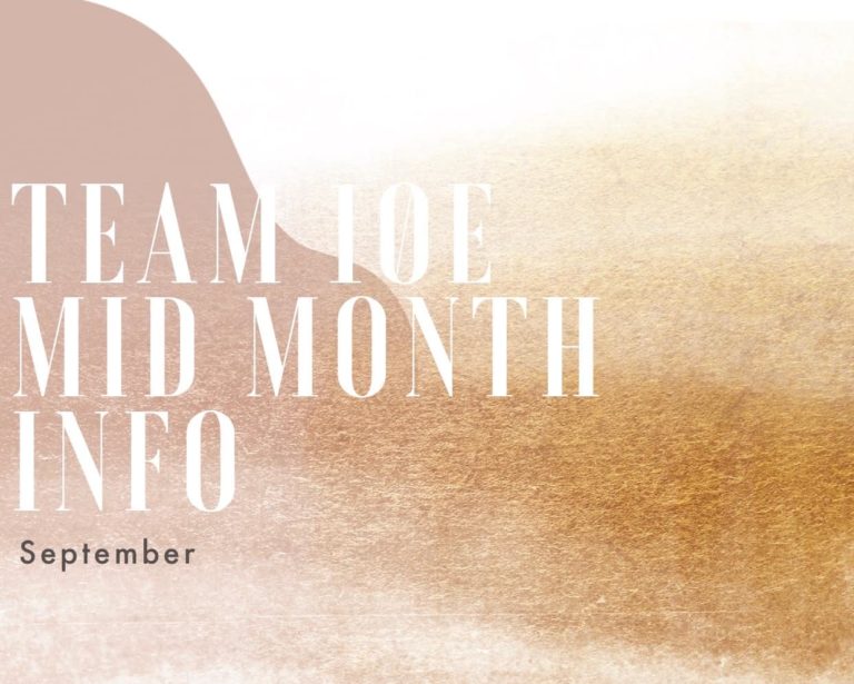 Team10e Mid Month Update